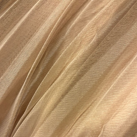 Elegant Beige Tulle Skirt - Picture 5 of 6